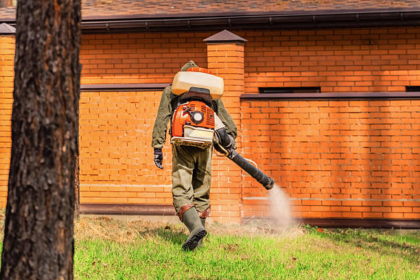 Trusted Ant Control service in North Fort Myers, FL - Nex Pest Control